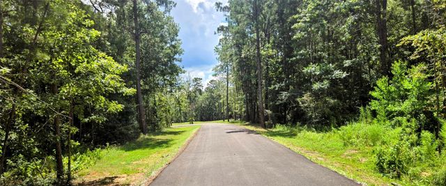 231 Iron Horse Road, Willis, TX 77378