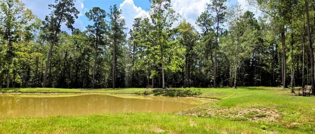 231 Iron Horse Road, Willis, TX 77378