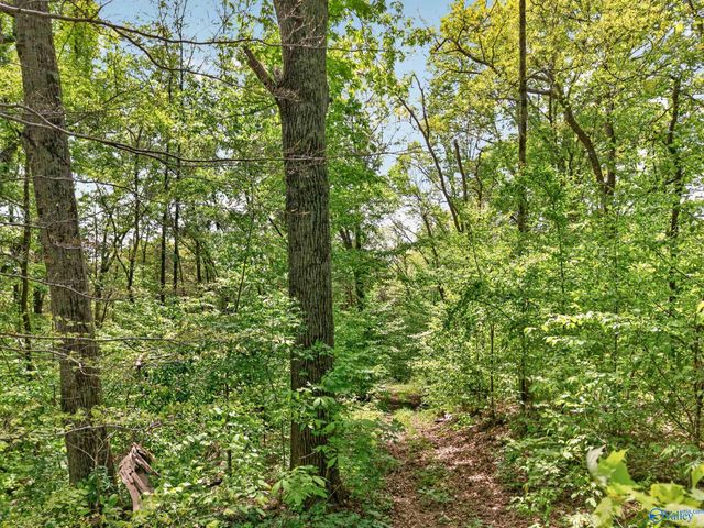 475 Old Elkton Pike, Fayetteville, TN 37334