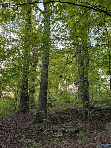475 Old Elkton Pike, Fayetteville, TN 37334