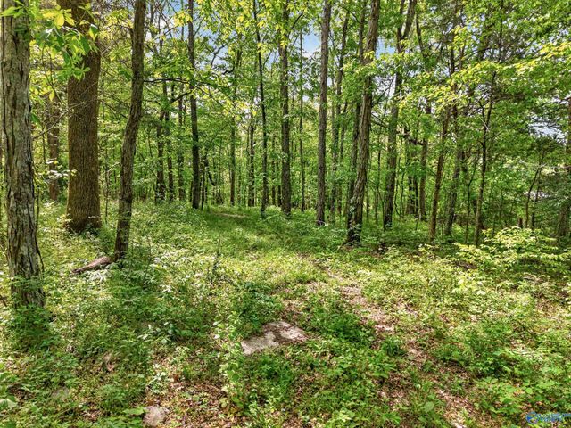 475 Old Elkton Pike, Fayetteville, TN 37334