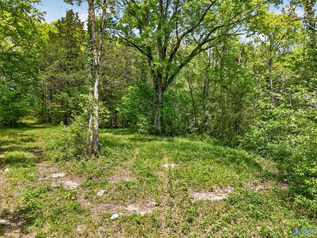 475 Old Elkton Pike, Fayetteville, TN 37334