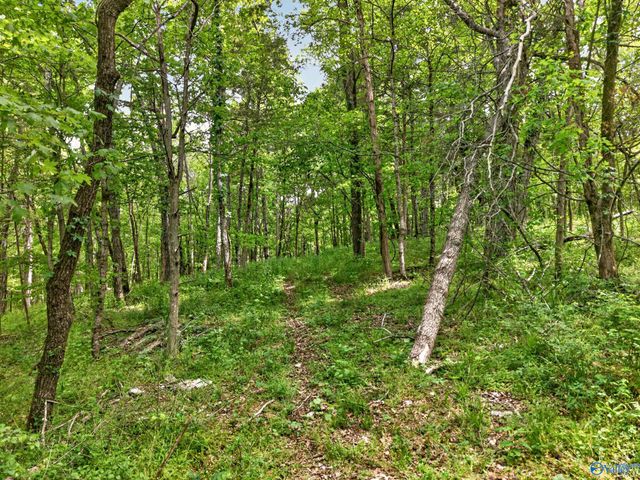 475 Old Elkton Pike, Fayetteville, TN 37334