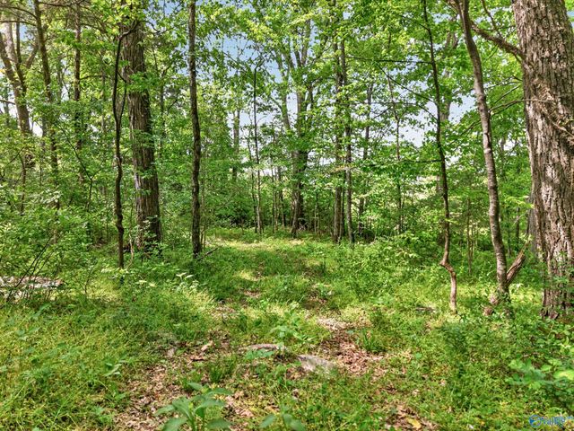 475 Old Elkton Pike, Fayetteville, TN 37334