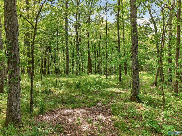 475 Old Elkton Pike, Fayetteville, TN 37334