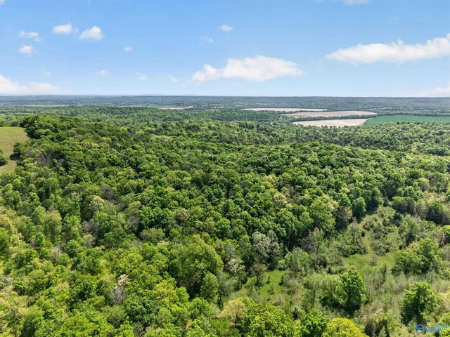 475 Old Elkton Pike, Fayetteville, TN 37334