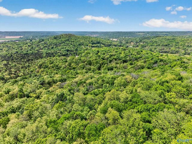 475 Old Elkton Pike, Fayetteville, TN 37334