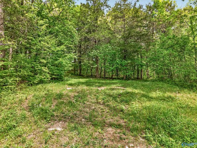 475 Old Elkton Pike, Fayetteville, TN 37334