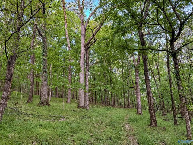 475 Old Elkton Pike, Fayetteville, TN 37334