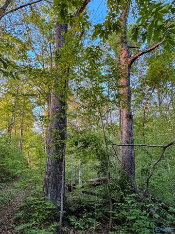 475 Old Elkton Pike, Fayetteville, TN 37334