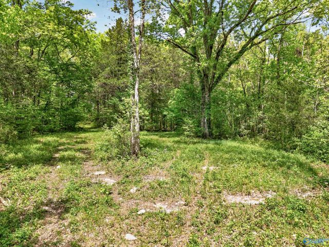 475 Old Elkton Pike, Fayetteville, TN 37334