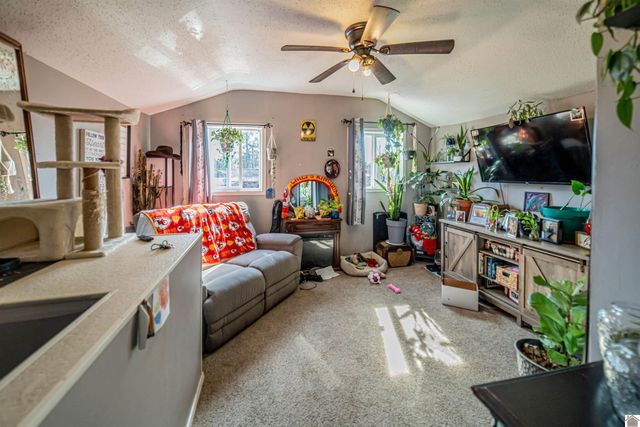 114 Reed Street, Paducah, KY 42003