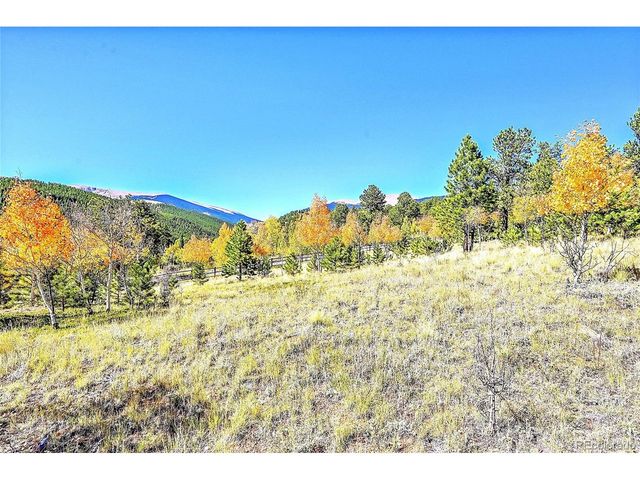 278 Clark Rd, Bailey, CO 80421