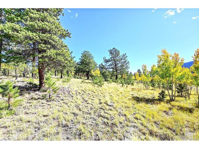278 Clark Rd, Bailey, CO 80421