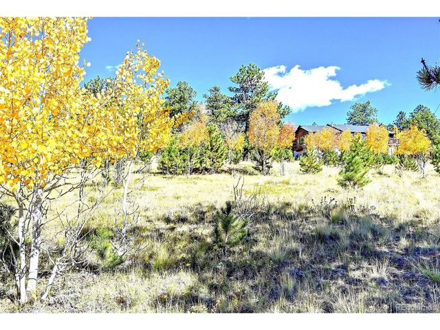 278 Clark Rd, Bailey, CO 80421