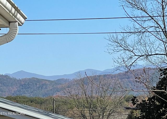 303 Curtis Rd, Tellico Plains, TN 37385