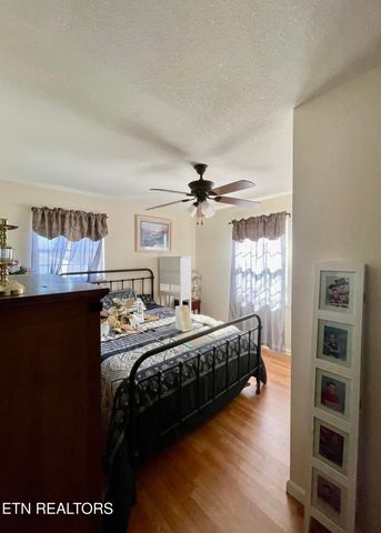 303 Curtis Rd, Tellico Plains, TN 37385