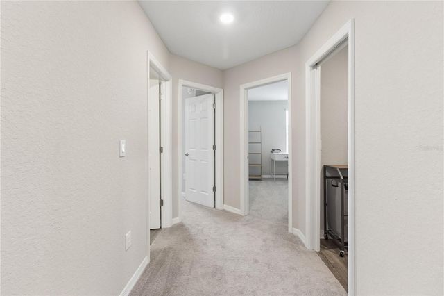 11759 SABAL SCRUB COURT, Riverview, FL 33579