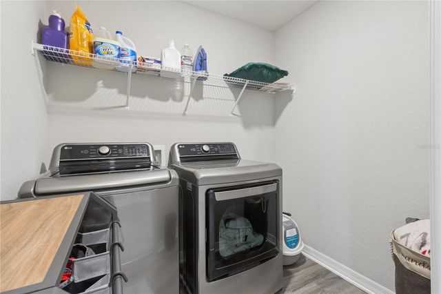 11759 SABAL SCRUB COURT, Riverview, FL 33579