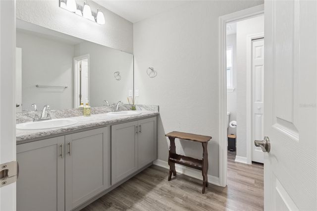 11759 SABAL SCRUB COURT, Riverview, FL 33579