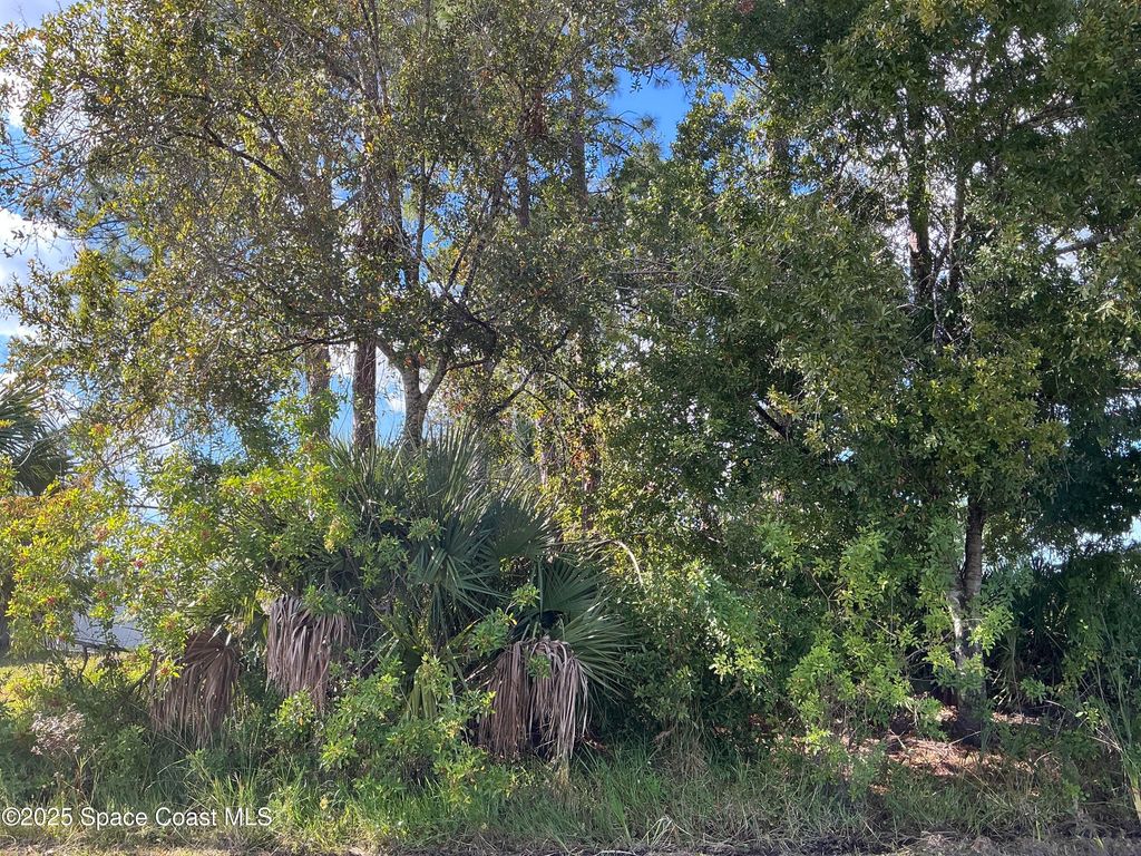 3266 Slama Avenue SE, Palm Bay, FL 32909