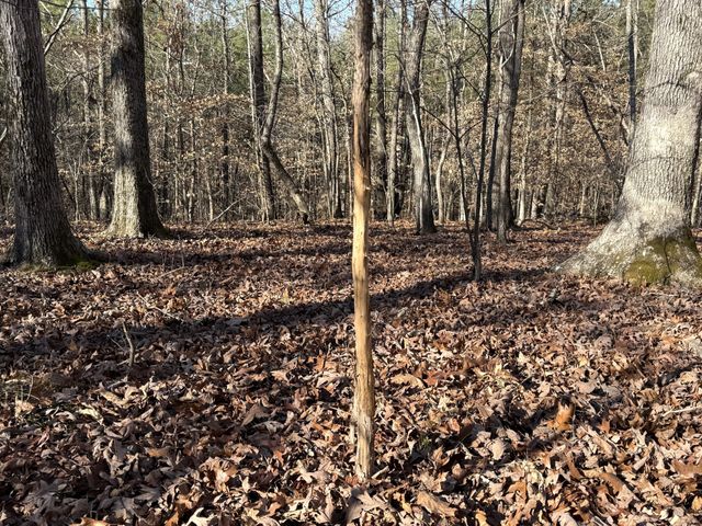 0 Rocky Point Rd, Stewart, TN 37175