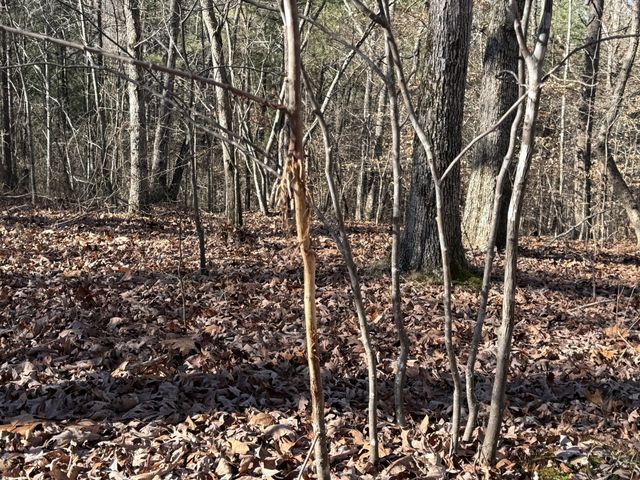 0 Rocky Point Rd, Stewart, TN 37175