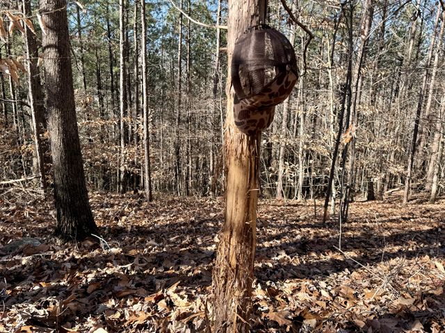 0 Rocky Point Rd, Stewart, TN 37175