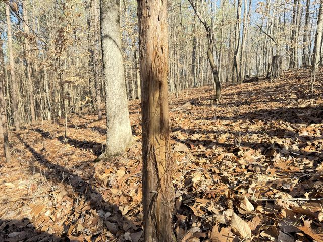 0 Rocky Point Rd, Stewart, TN 37175