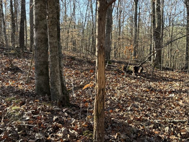 0 Rocky Point Rd, Stewart, TN 37175