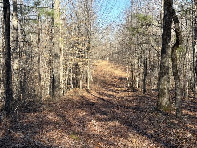 0 Rocky Point Rd, Stewart, TN 37175