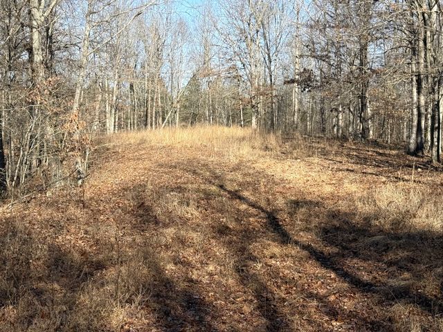 0 Rocky Point Rd, Stewart, TN 37175