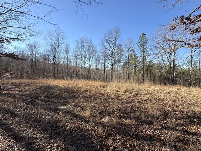 0 Rocky Point Rd, Stewart, TN 37175