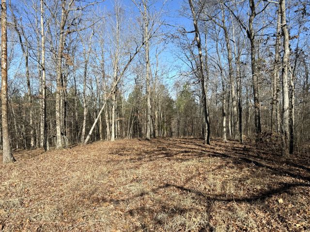 0 Rocky Point Rd, Stewart, TN 37175