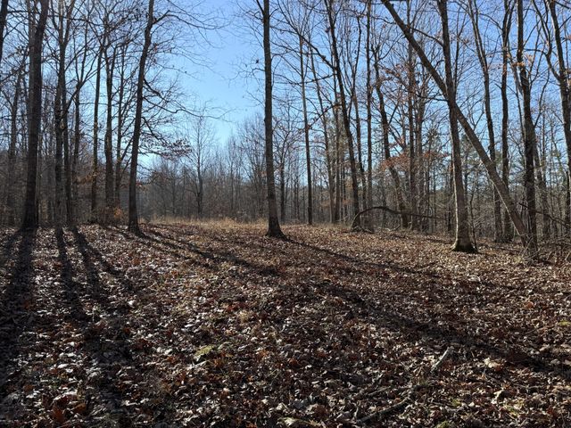 0 Rocky Point Rd, Stewart, TN 37175