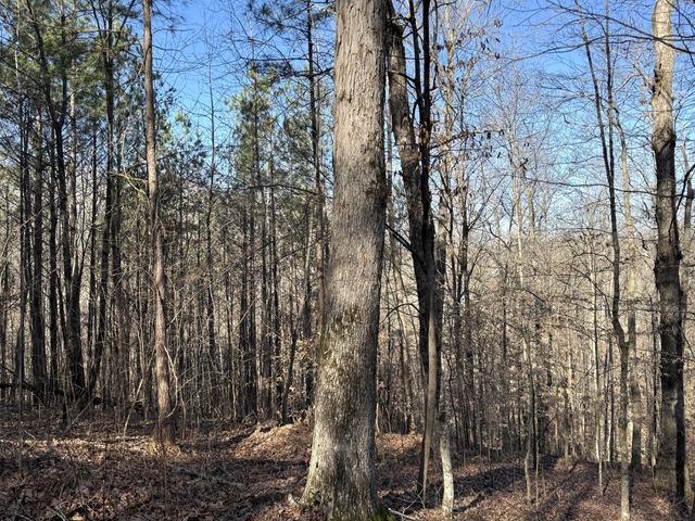 0 Rocky Point Rd, Stewart, TN 37175