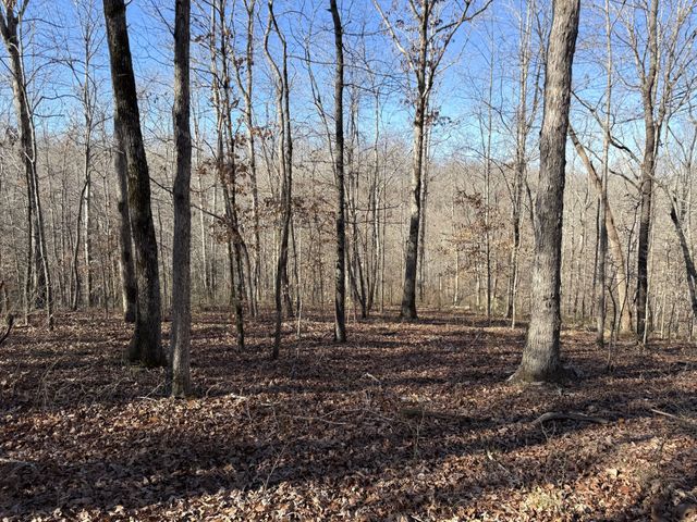 0 Rocky Point Rd, Stewart, TN 37175