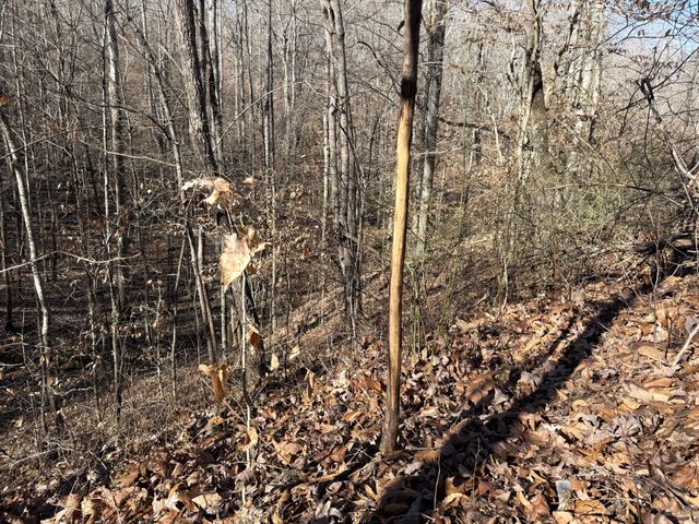 0 Rocky Point Rd, Stewart, TN 37175