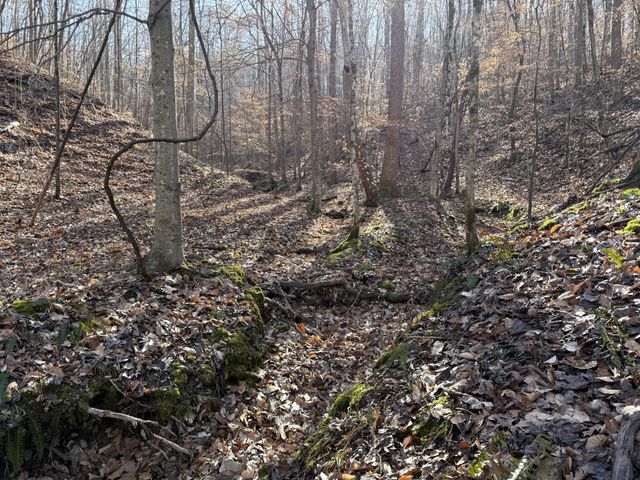 0 Rocky Point Rd, Stewart, TN 37175