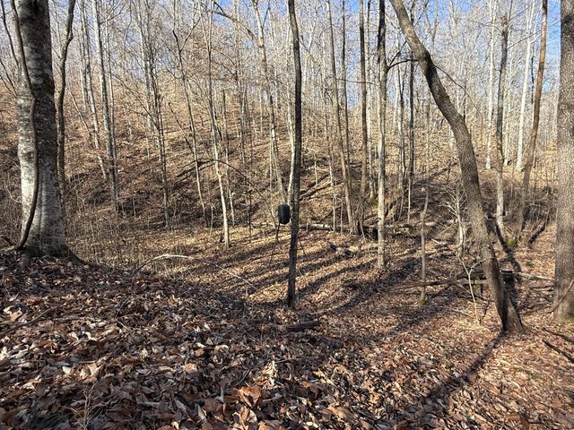 0 Rocky Point Rd, Stewart, TN 37175