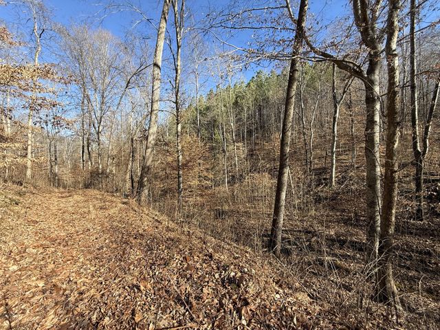 0 Rocky Point Rd, Stewart, TN 37175