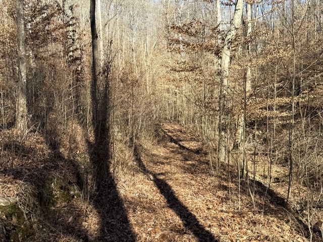 0 Rocky Point Rd, Stewart, TN 37175