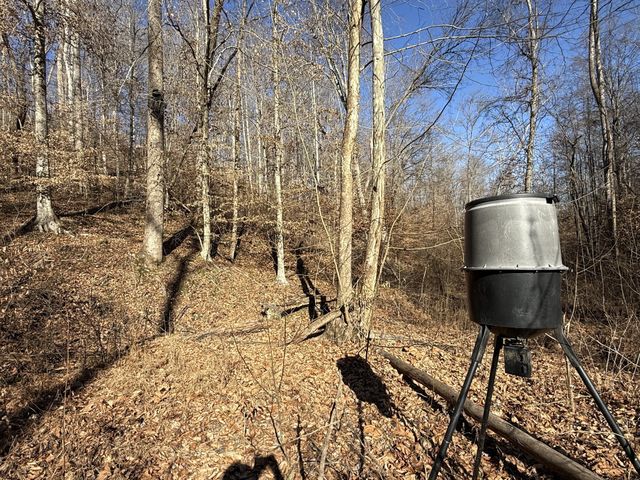 0 Rocky Point Rd, Stewart, TN 37175