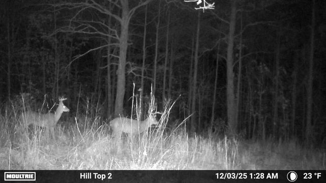 0 Rocky Point Rd, Stewart, TN 37175