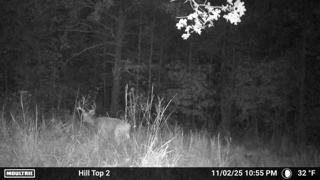 0 Rocky Point Rd, Stewart, TN 37175