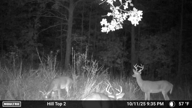 0 Rocky Point Rd, Stewart, TN 37175