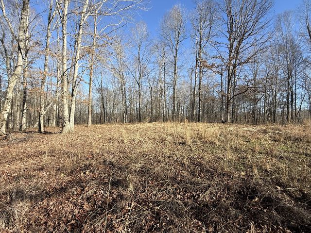 0 Rocky Point Rd, Stewart, TN 37175