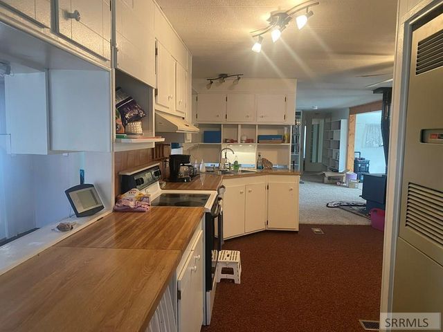 900 Challis Creek Road, Challis, ID 83226