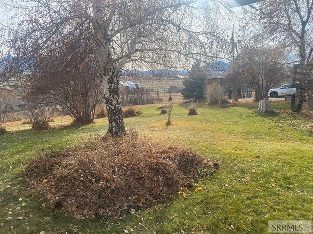 900 Challis Creek Road, Challis, ID 83226