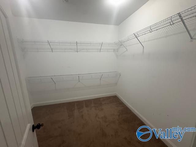 25903 Fieldstone Drive, Madison, AL 35756